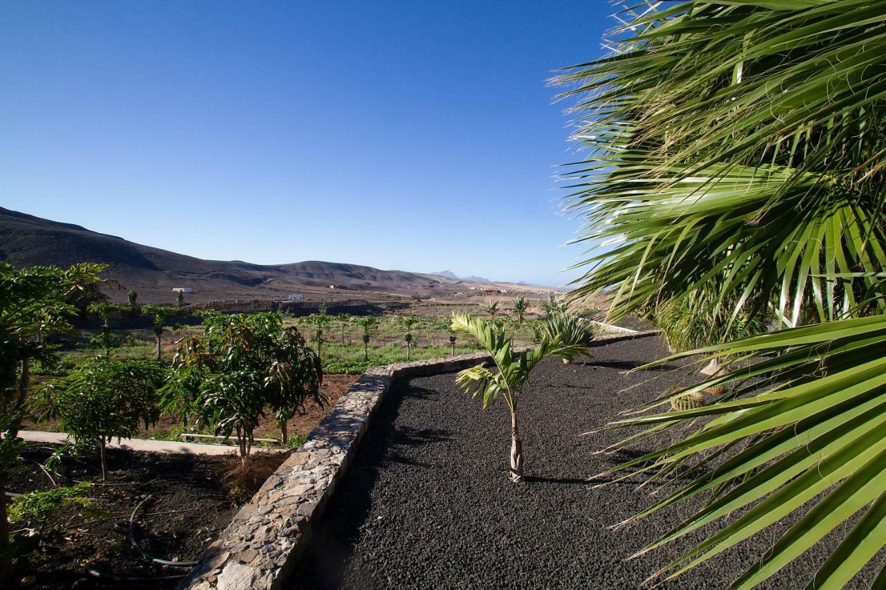 Finca Arbequina Pájara 外观 照片