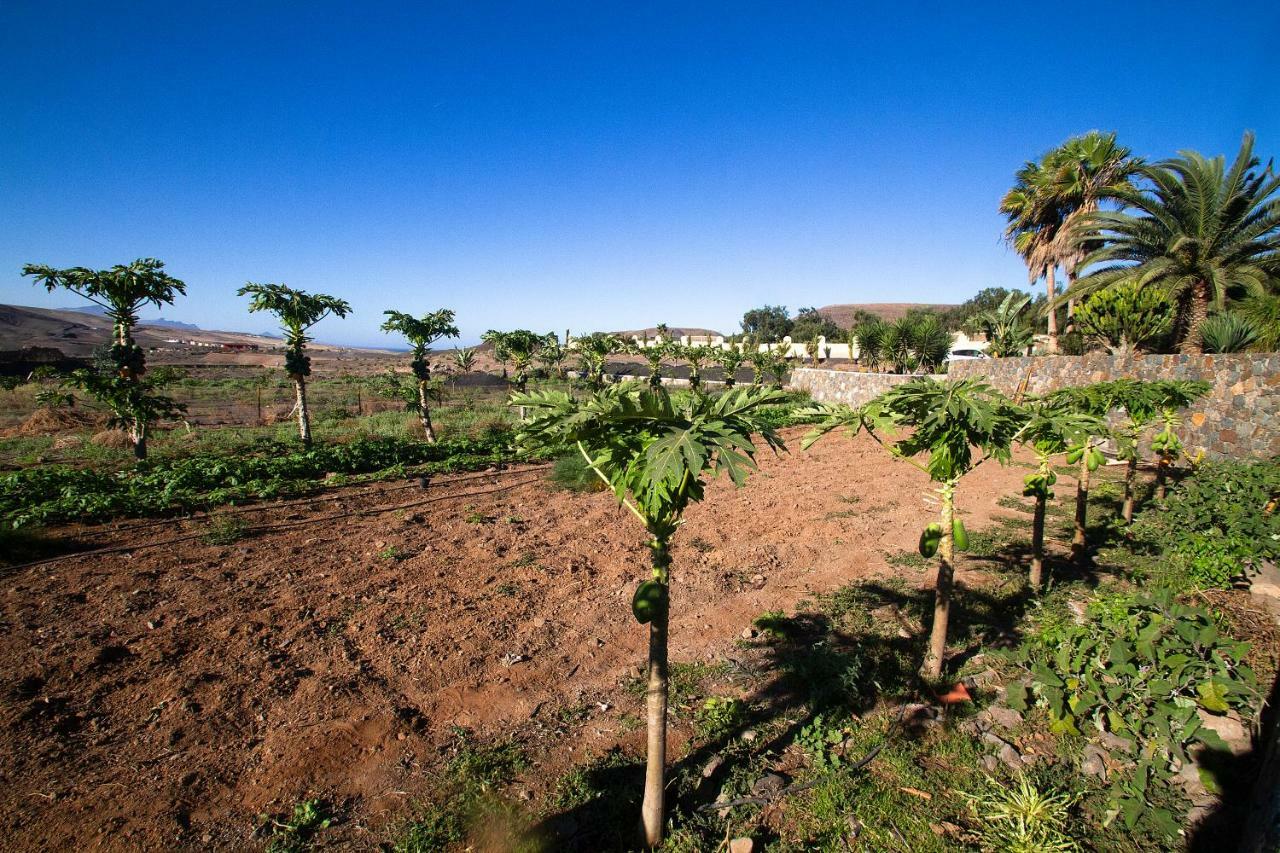 Finca Arbequina Pájara 外观 照片